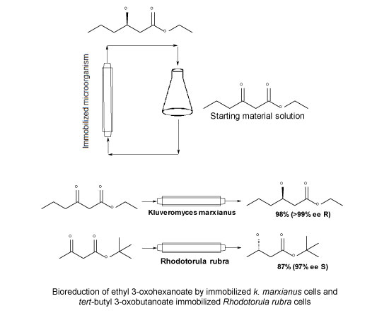 Improving the Toolbox of Bioreductions by the Use of Continuous Flow Systems